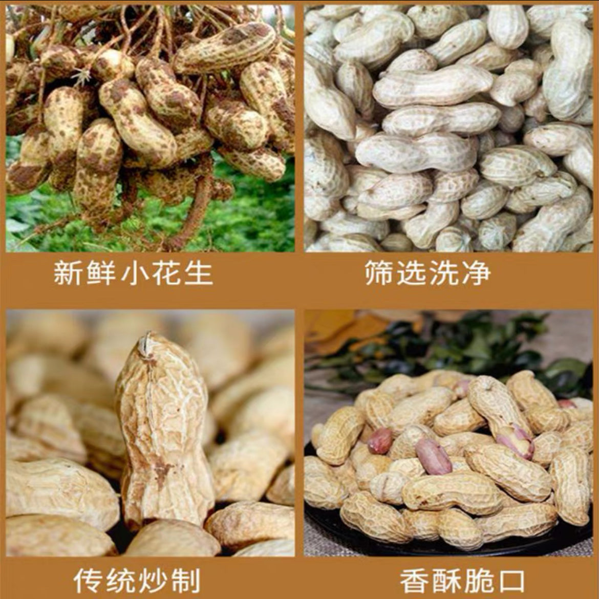 河源车田特产牛海花生500g 颗粒饱满 香脆可口 传统柴火沙炒盐焗 牛利海