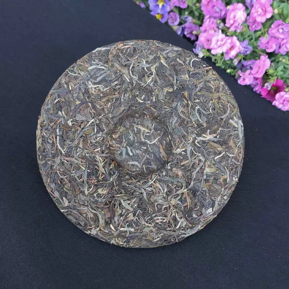 冰岛春韵普洱生茶/云南七子饼茶 鲜爽清甜 茶香芬芳