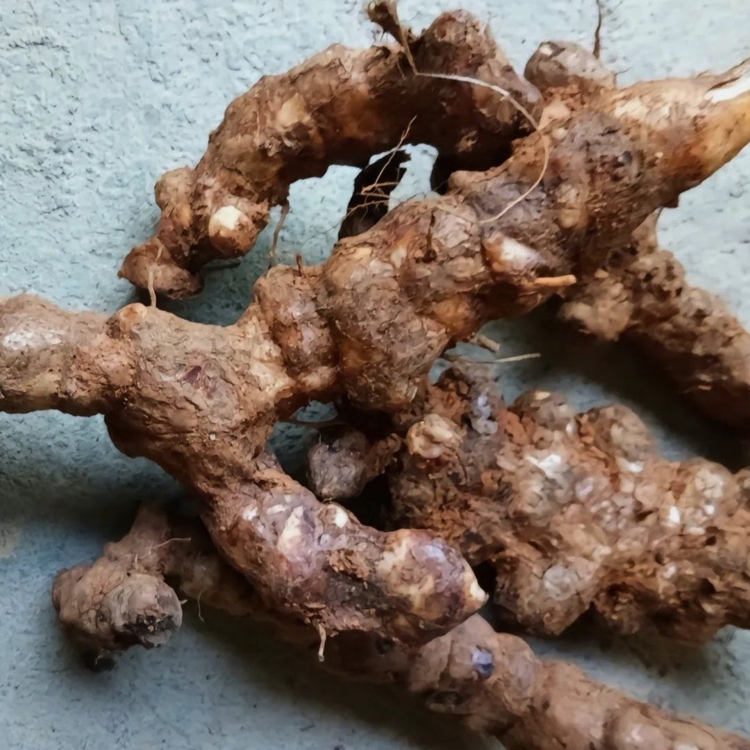 野生赤白土茯苓 清热解毒、袪风除湿、通利关节 亚洲商行11