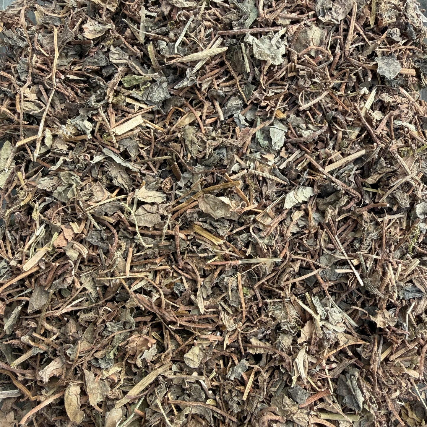 天然小叶金钱草 清热解毒、利湿退黄