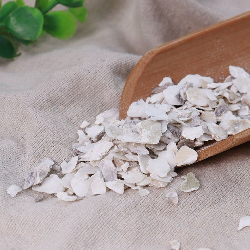 中药牡蛎 安神、敛阴、潜阳、固涩、化痰、软坚、散结