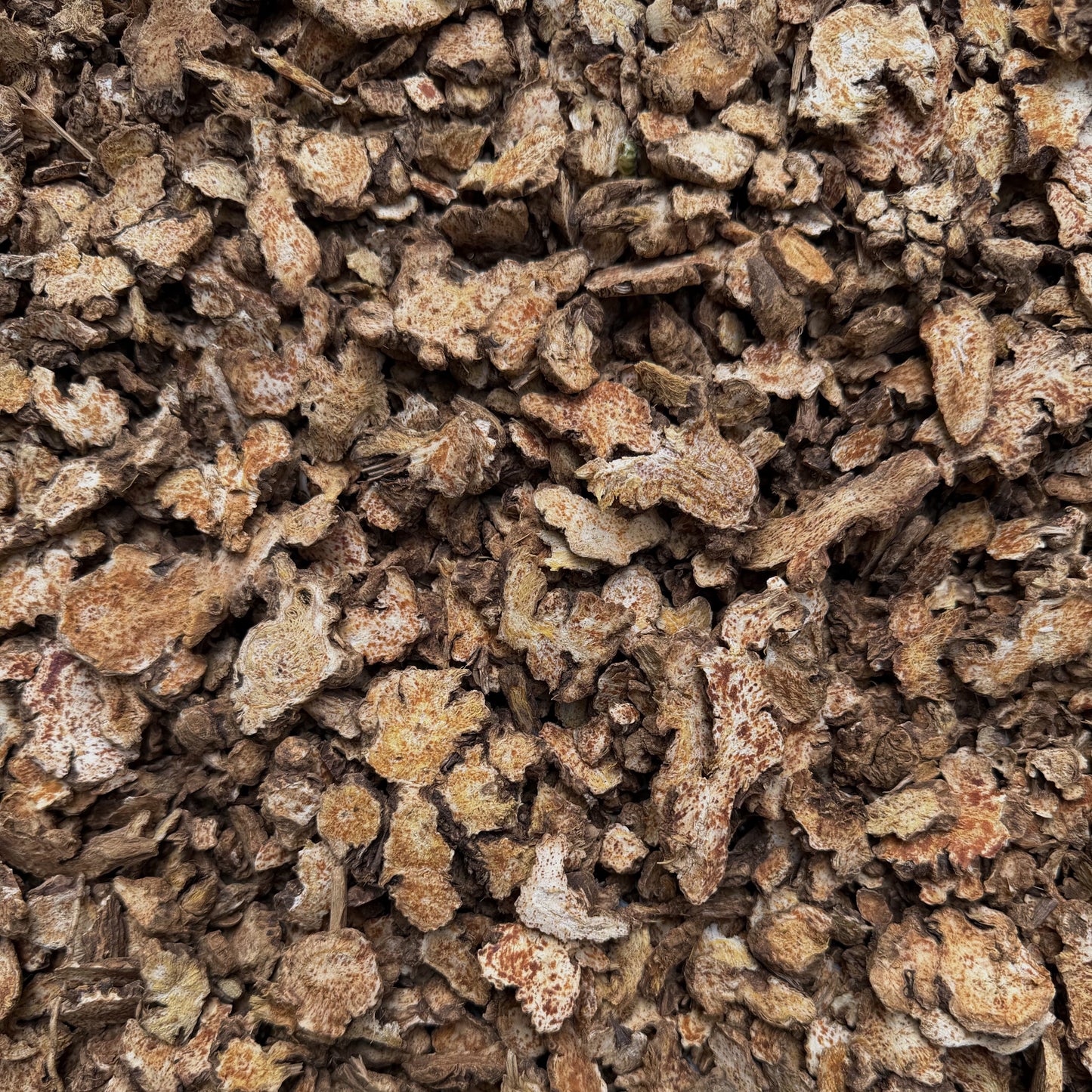 内蒙北苍术 健脾燥湿、祛风散寒 、明目镇静 亚洲商店11